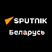 Санкциями по котикам: рынок зоотоваров штормит. Чем будем кормить питомцев?
